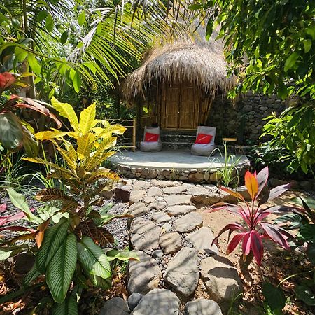 Les Garden Villa Tejakula Exteriér fotografie