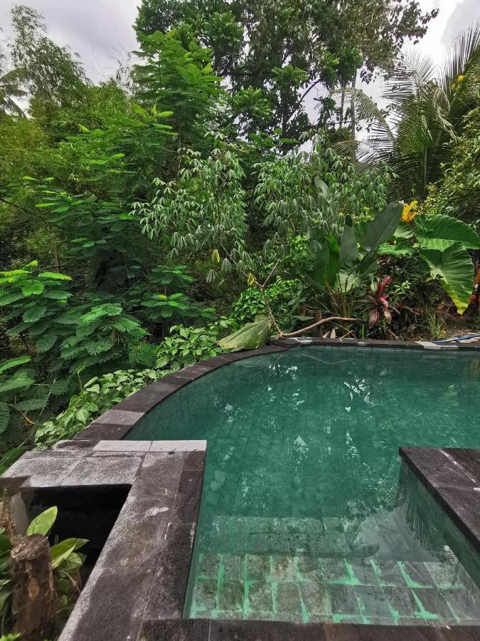 Les Garden Villa Tejakula Exteriér fotografie