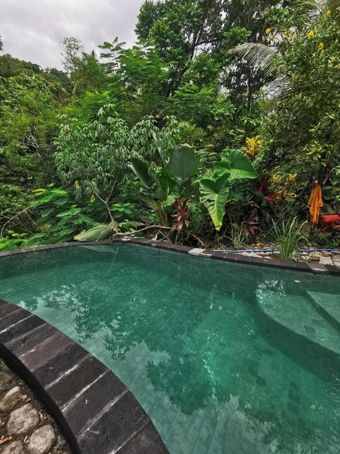 Les Garden Villa Tejakula Exteriér fotografie