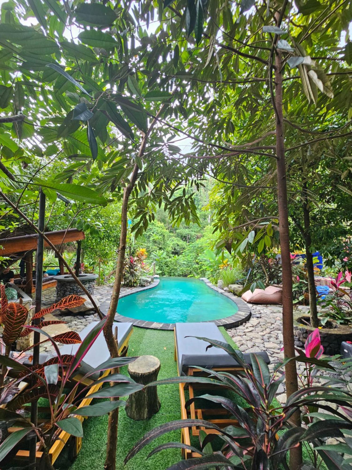 Les Garden Villa Tejakula Exteriér fotografie
