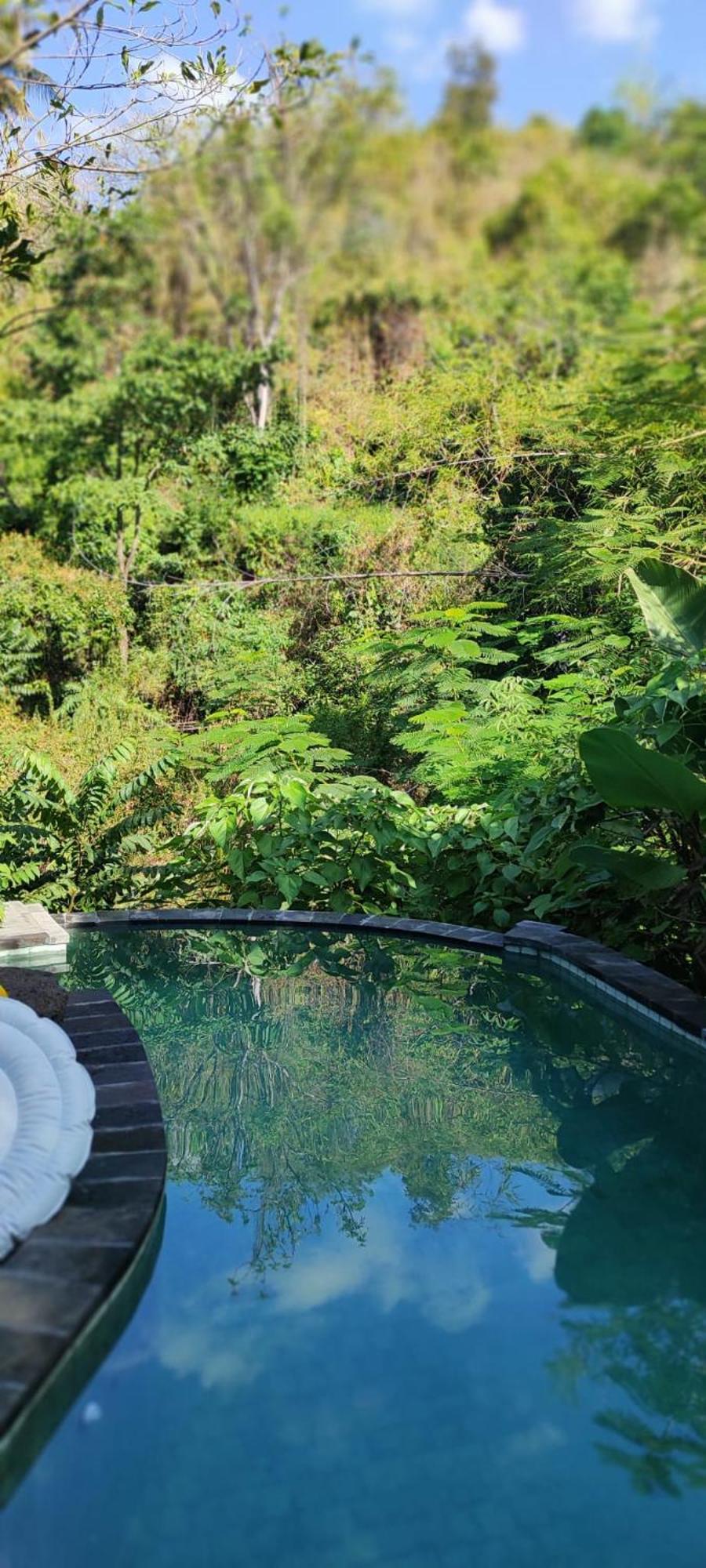 Les Garden Villa Tejakula Exteriér fotografie