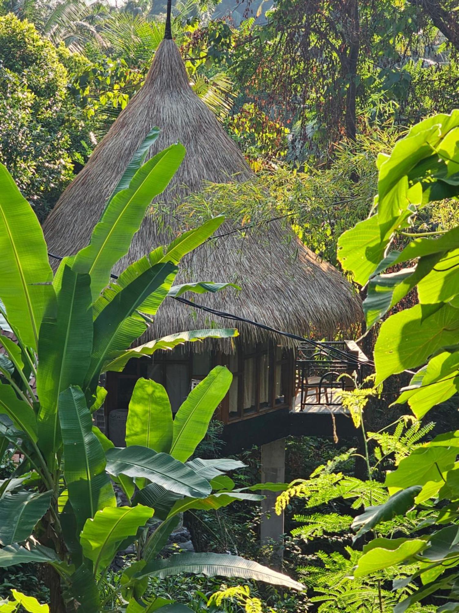 Les Garden Villa Tejakula Exteriér fotografie