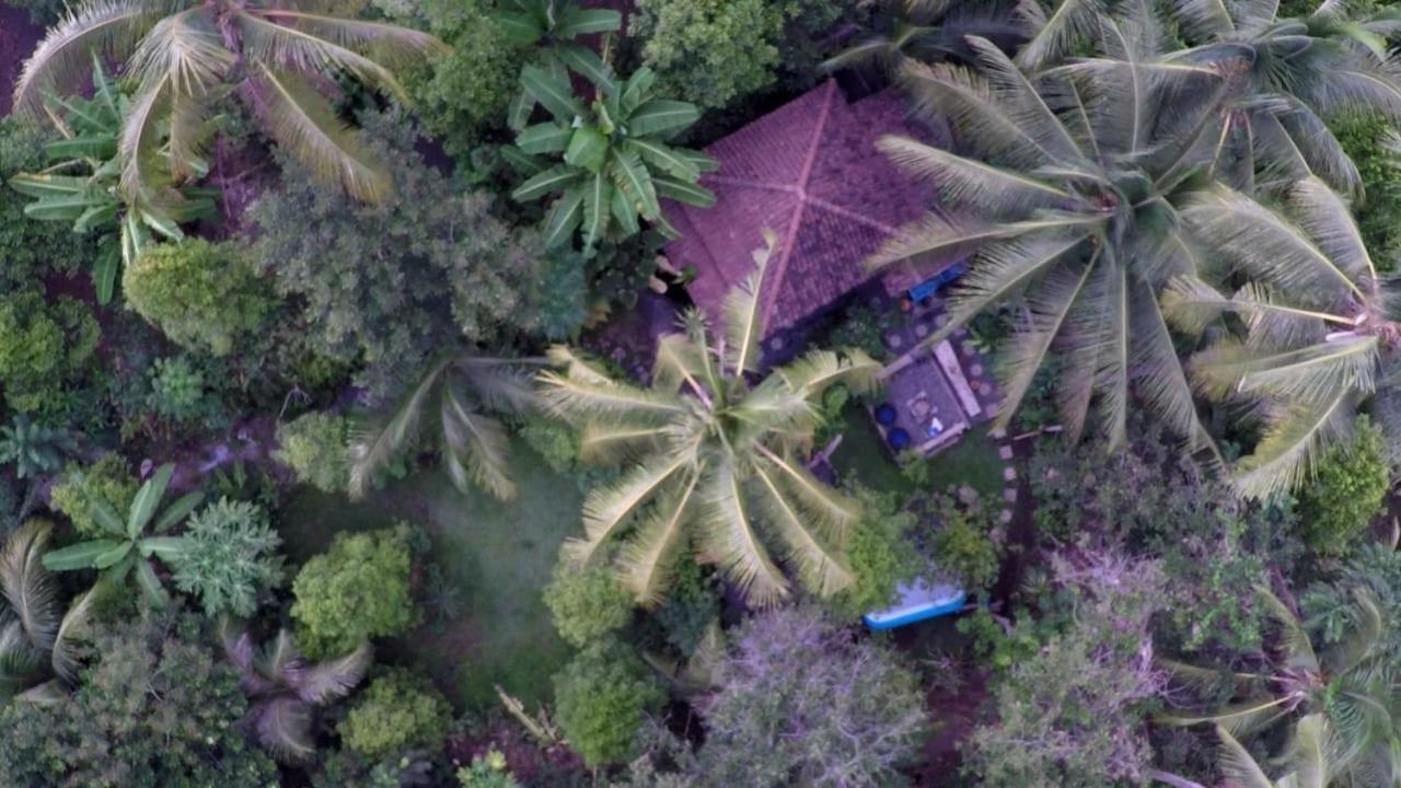 Les Garden Villa Tejakula Exteriér fotografie